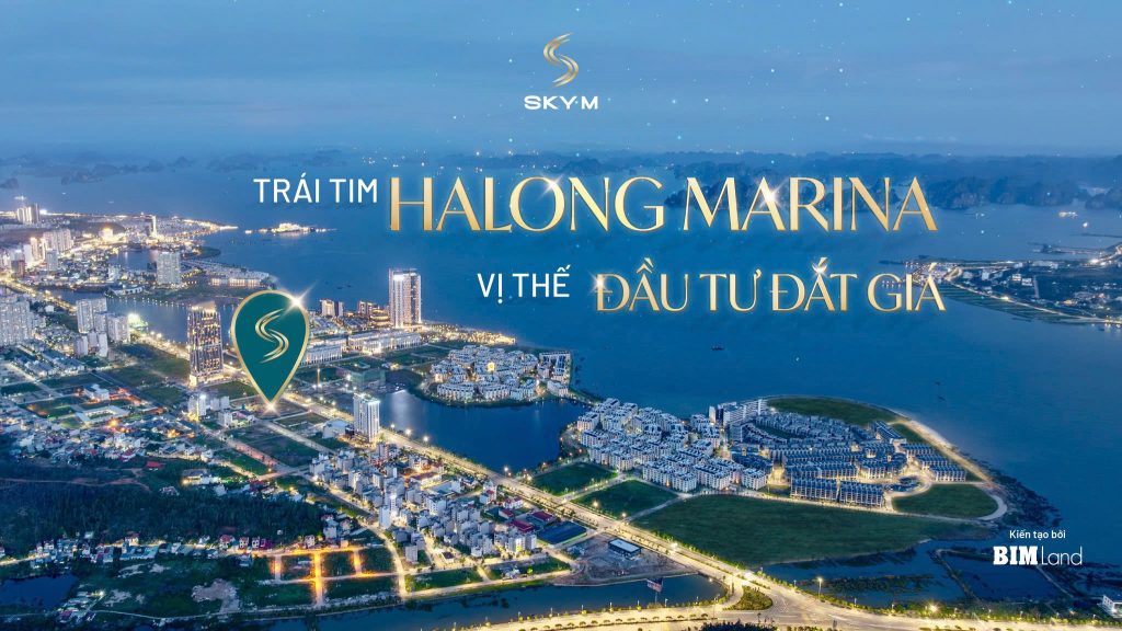 vi trí sky m